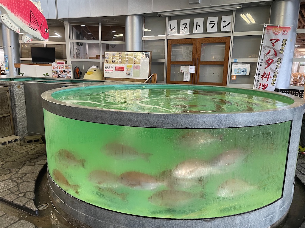 f:id:kamemochi:20230704161657j:image