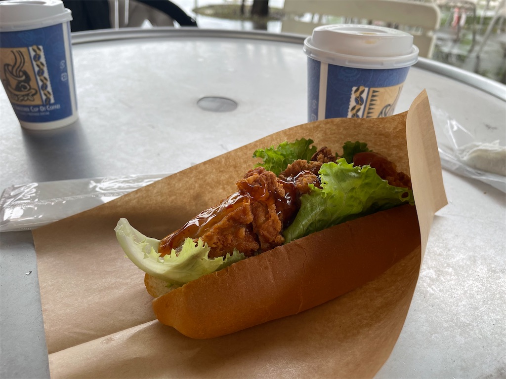 f:id:kamemochi:20230704161710j:image