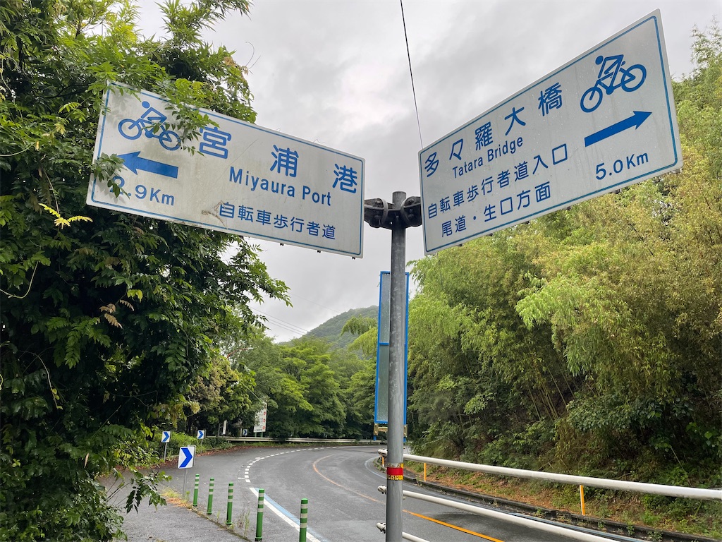 f:id:kamemochi:20230704161724j:image