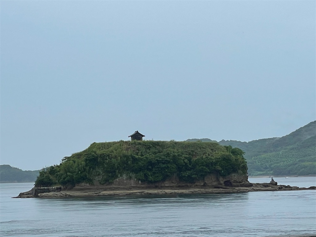 f:id:kamemochi:20230704161728j:image