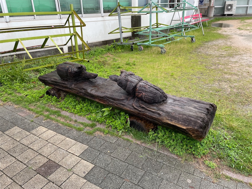 f:id:kamemochi:20230704161730j:image