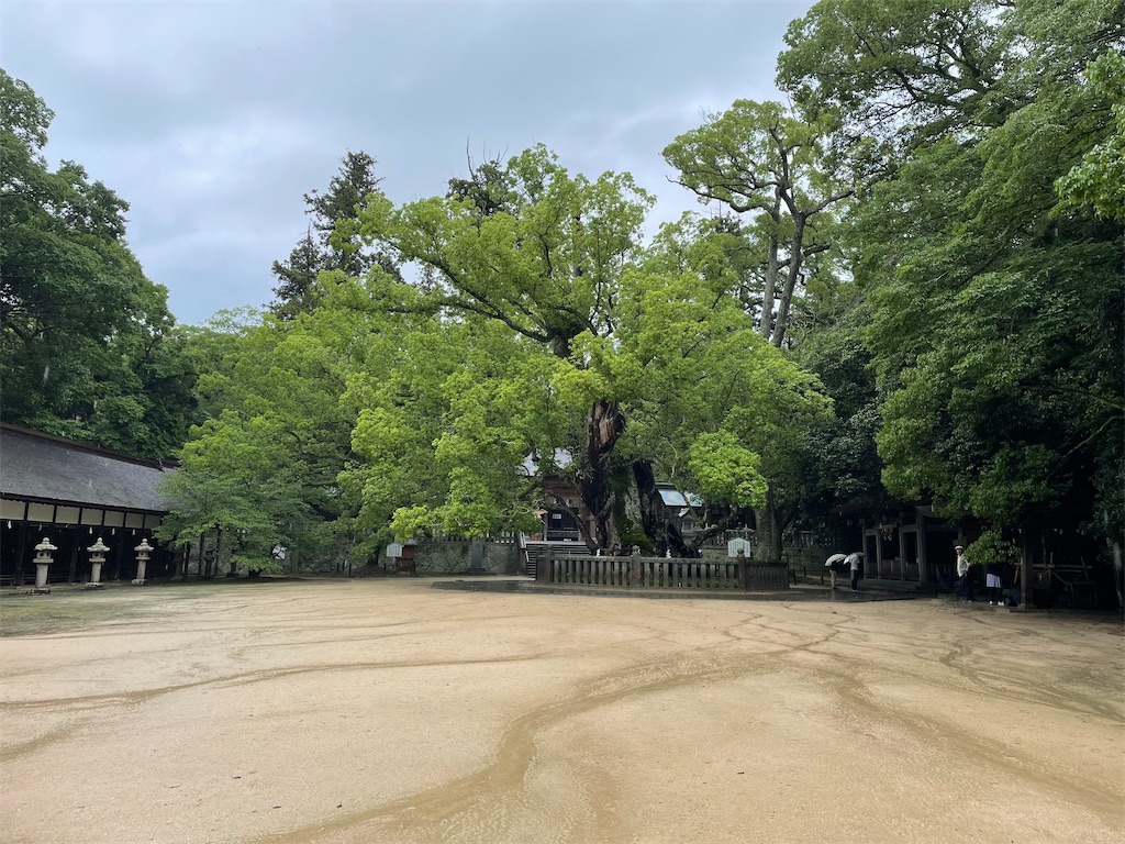f:id:kamemochi:20230705002829j:image