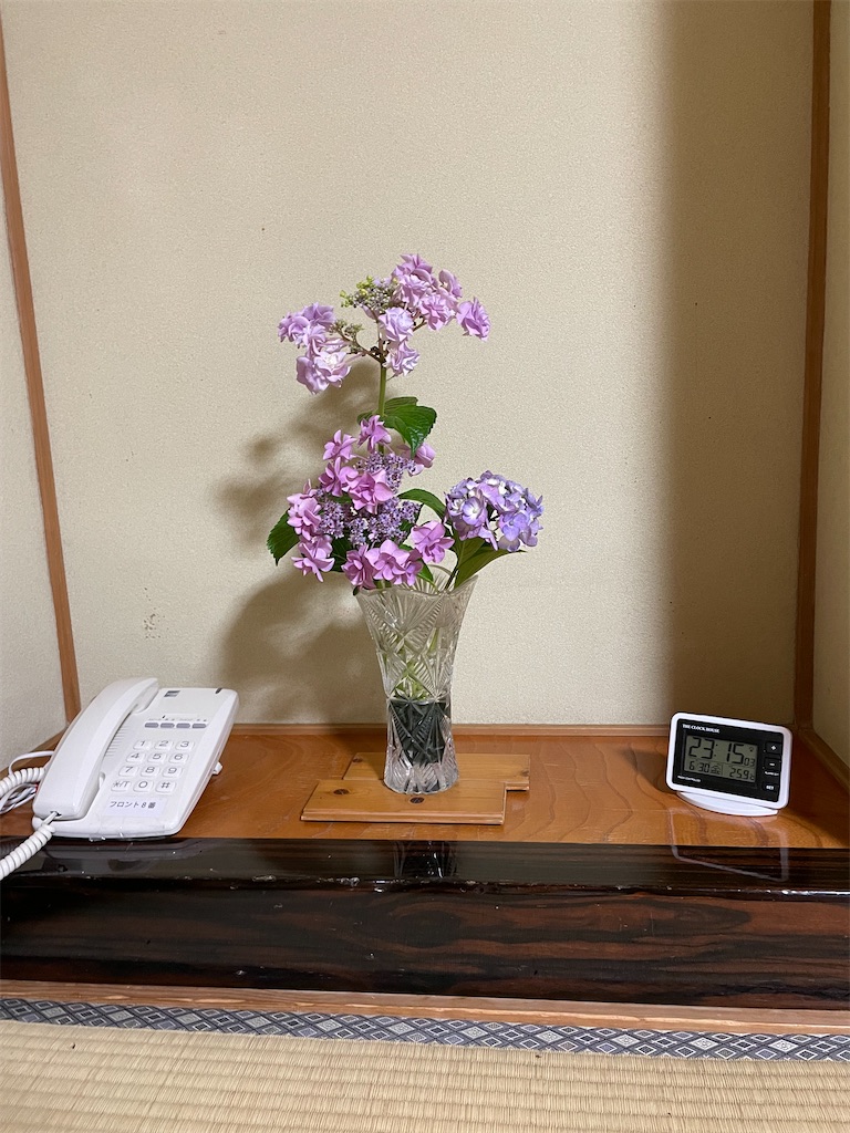 f:id:kamemochi:20230705002832j:image