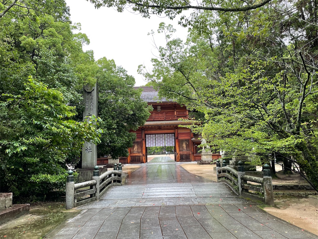 f:id:kamemochi:20230705002835j:image