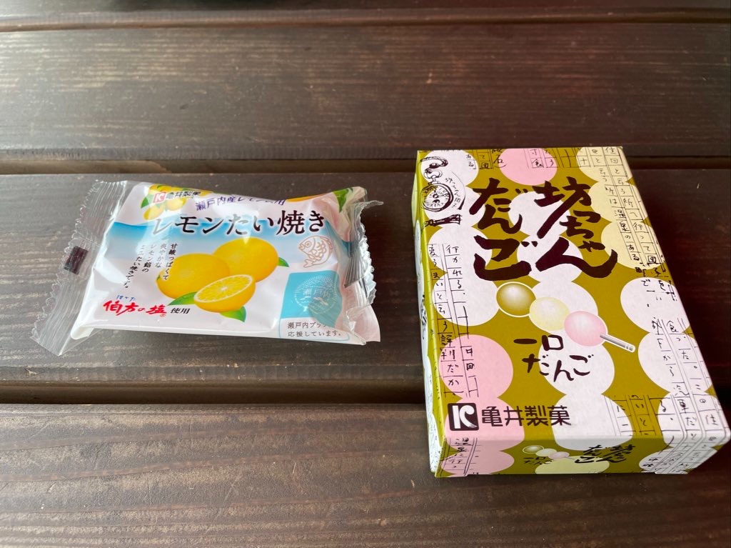 f:id:kamemochi:20230705094426j:image