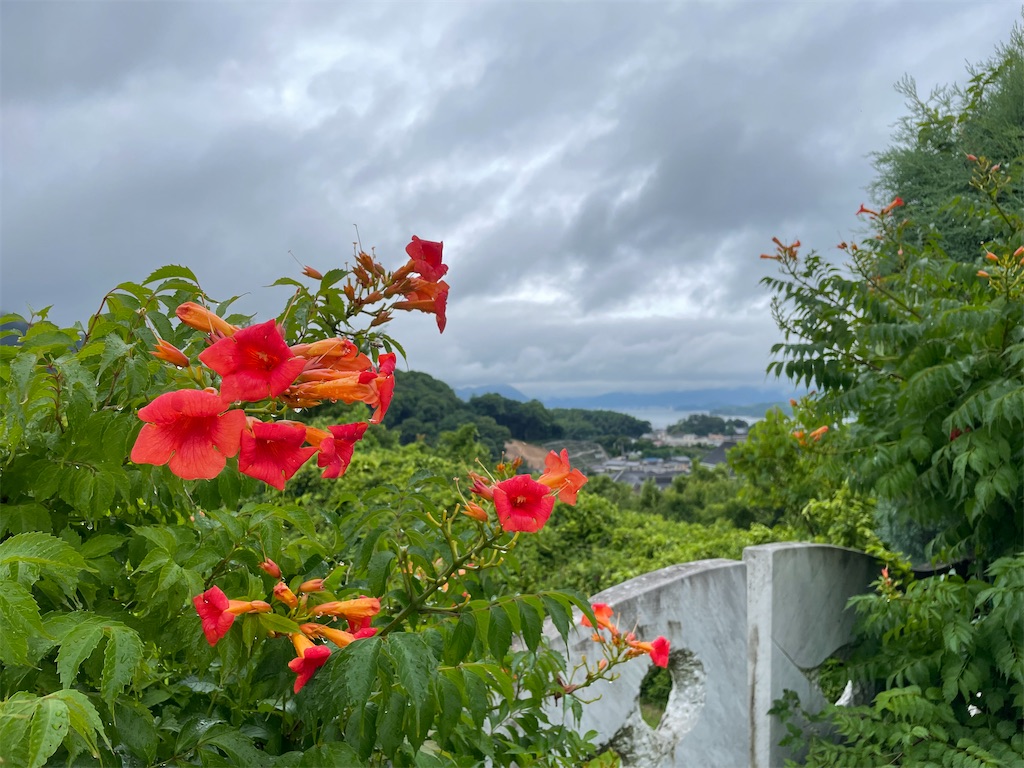f:id:kamemochi:20230705101449j:image
