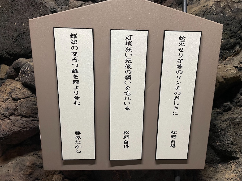 f:id:kamemochi:20230705124543j:image