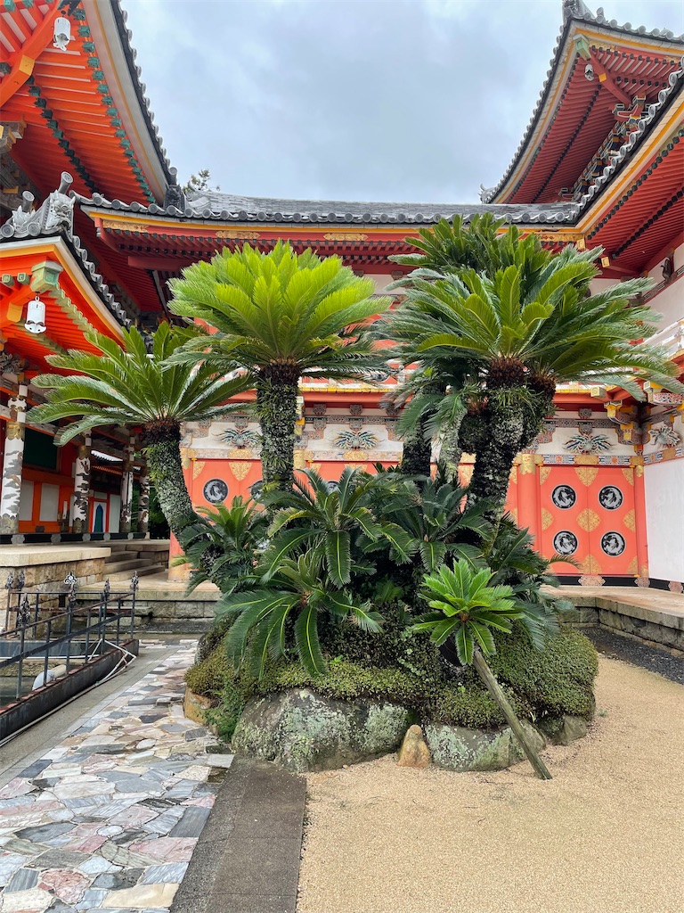 f:id:kamemochi:20230705124553j:image