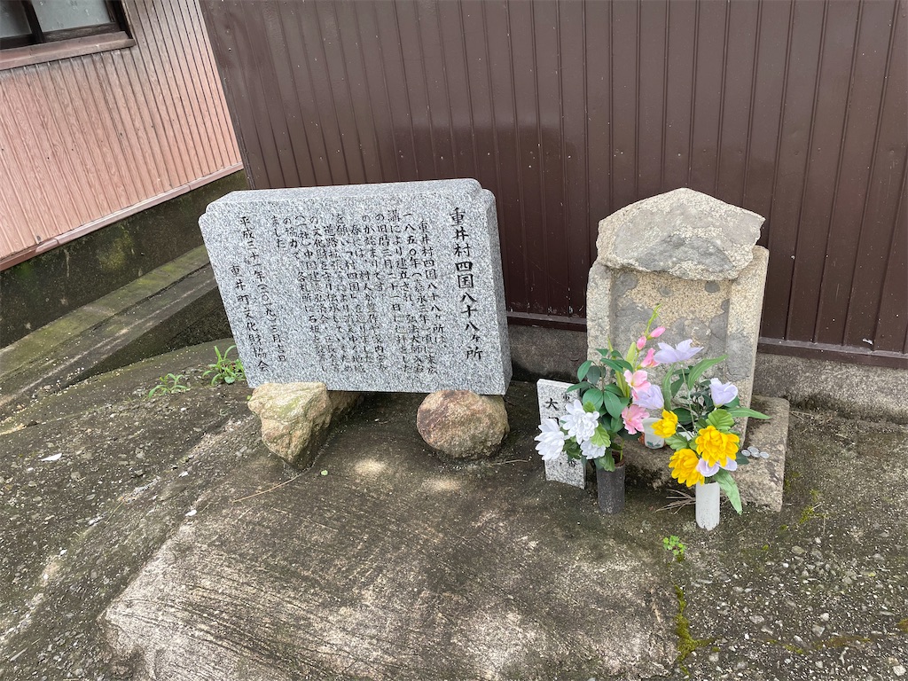 f:id:kamemochi:20230705124604j:image