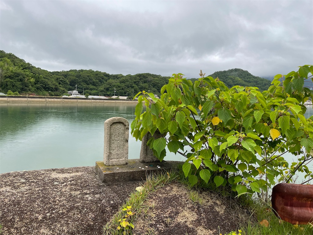 f:id:kamemochi:20230705124620j:image