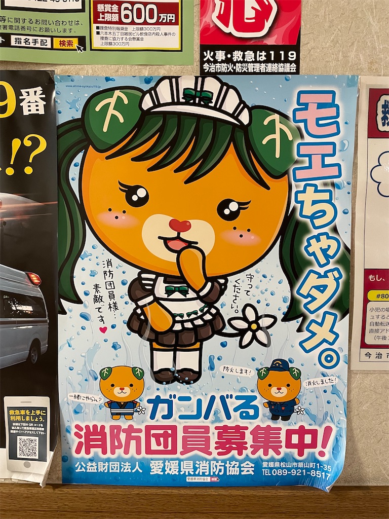 f:id:kamemochi:20230707122820j:image