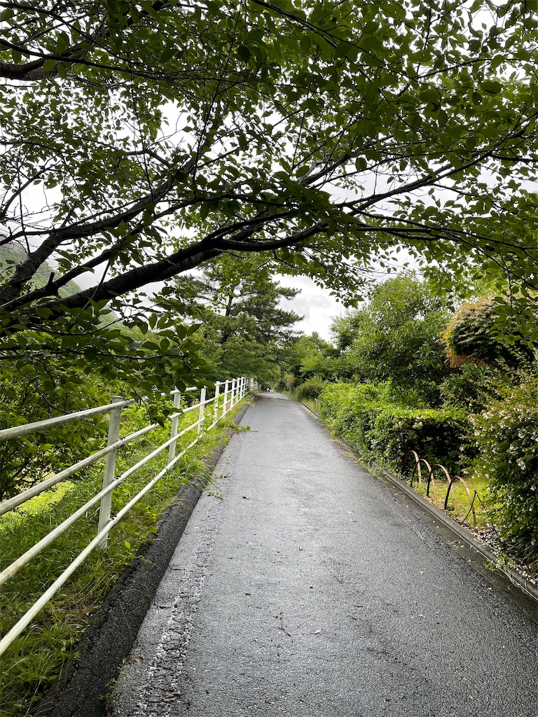 f:id:kamemochi:20230708125422j:image