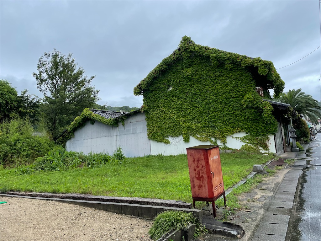 f:id:kamemochi:20230708135535j:image