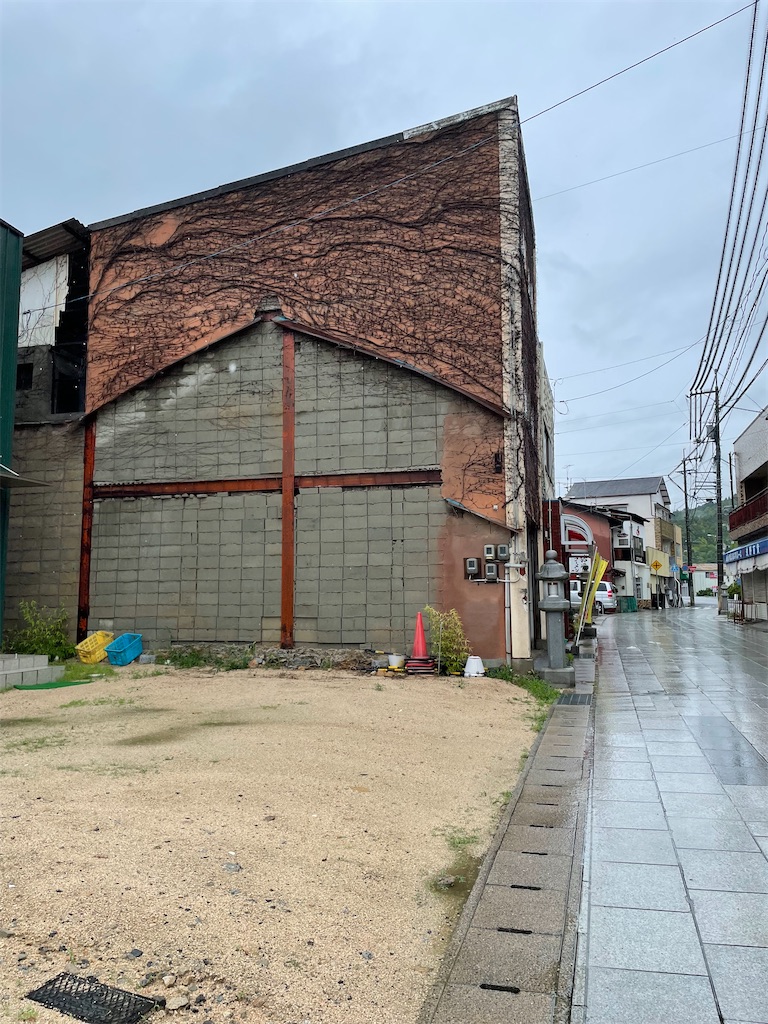 f:id:kamemochi:20230708135538j:image