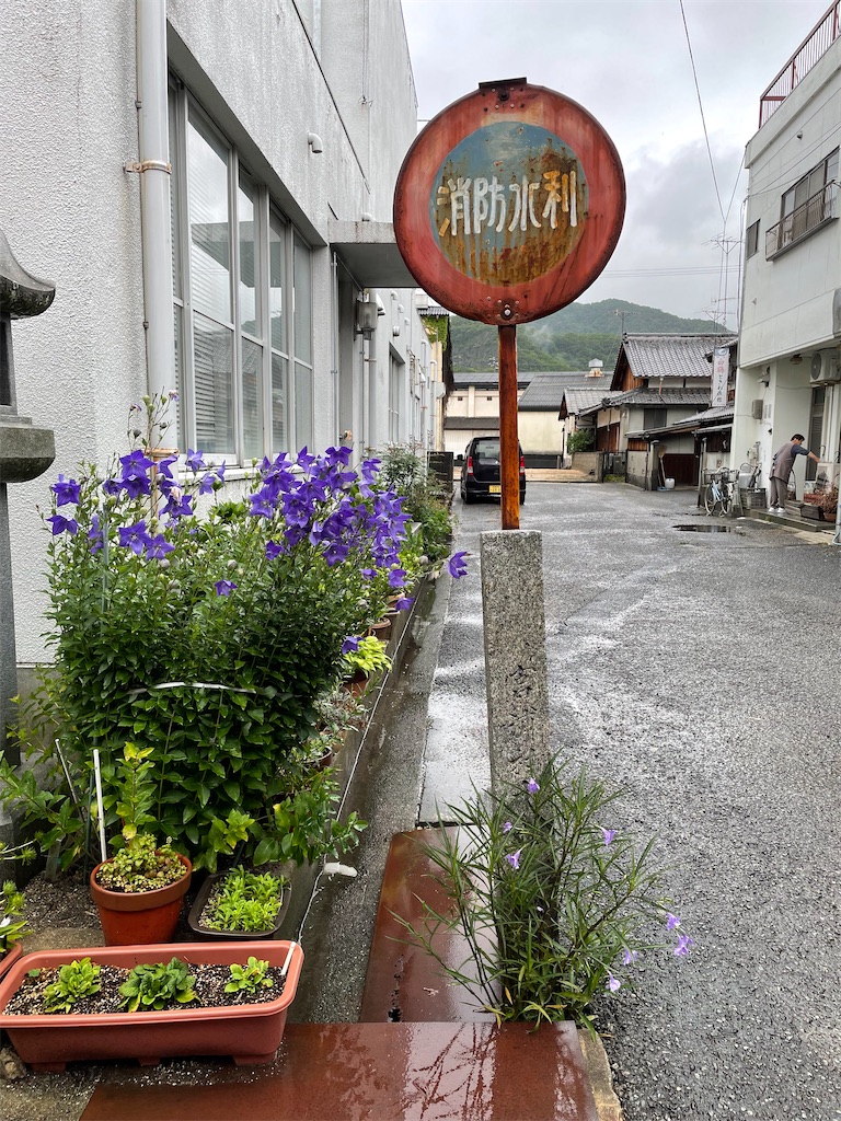 f:id:kamemochi:20230708135545j:image