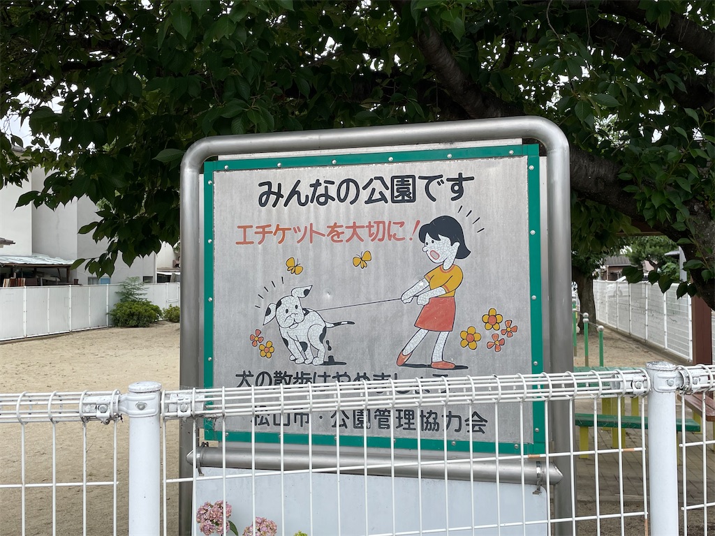 f:id:kamemochi:20230716175247j:image