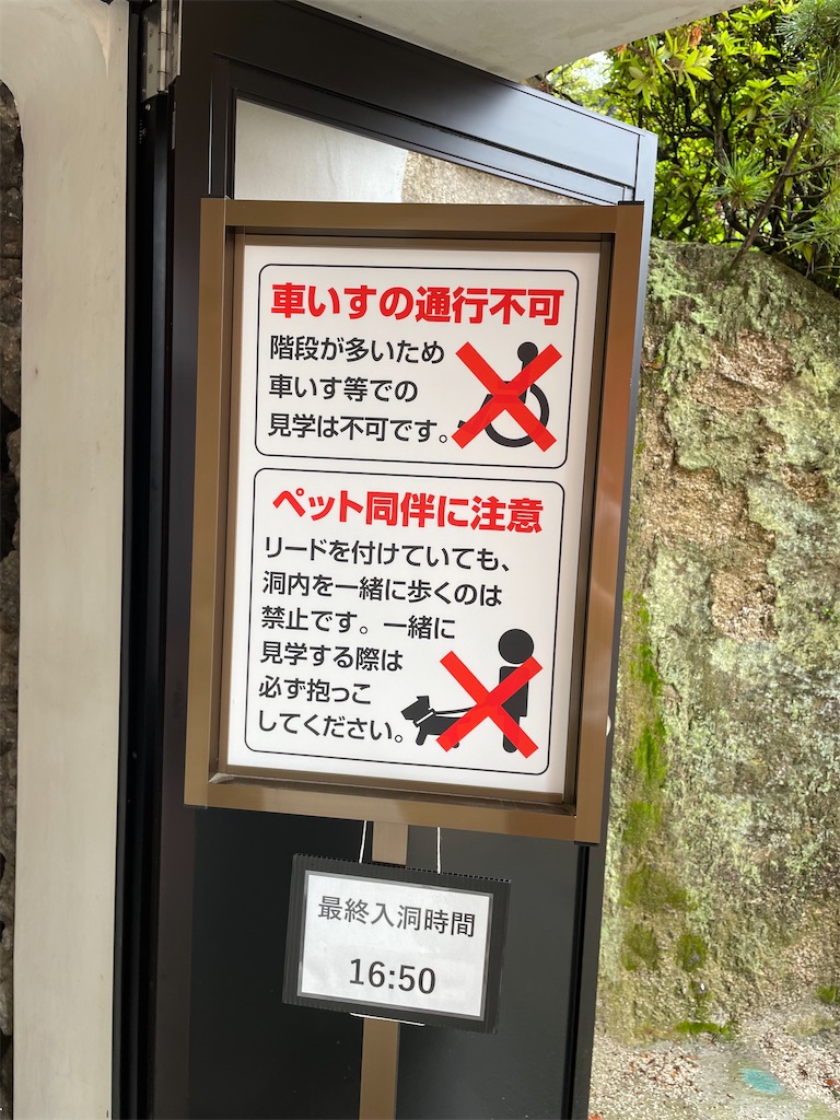 f:id:kamemochi:20230716175358j:image f:id:kamemochi:20230716175358j:image
