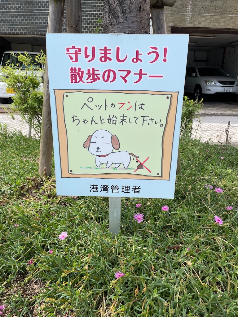 f:id:kamemochi:20230716175401j:image f:id:kamemochi:20230716175401j:image