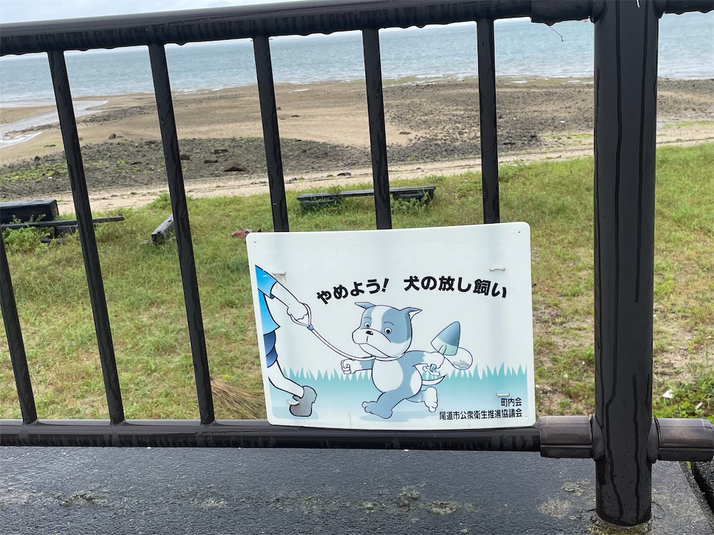 f:id:kamemochi:20230716175404j:image f:id:kamemochi:20230716175404j:image