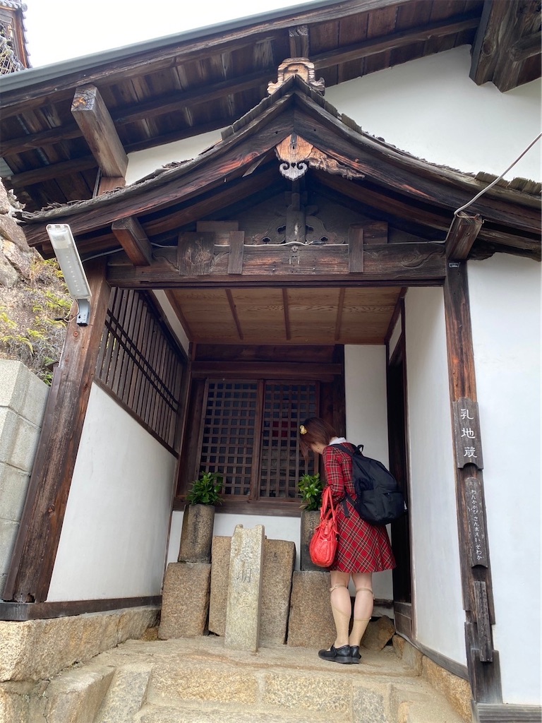 f:id:kamemochi:20231111150549j:image f:id:kamemochi:20231111150549j:image