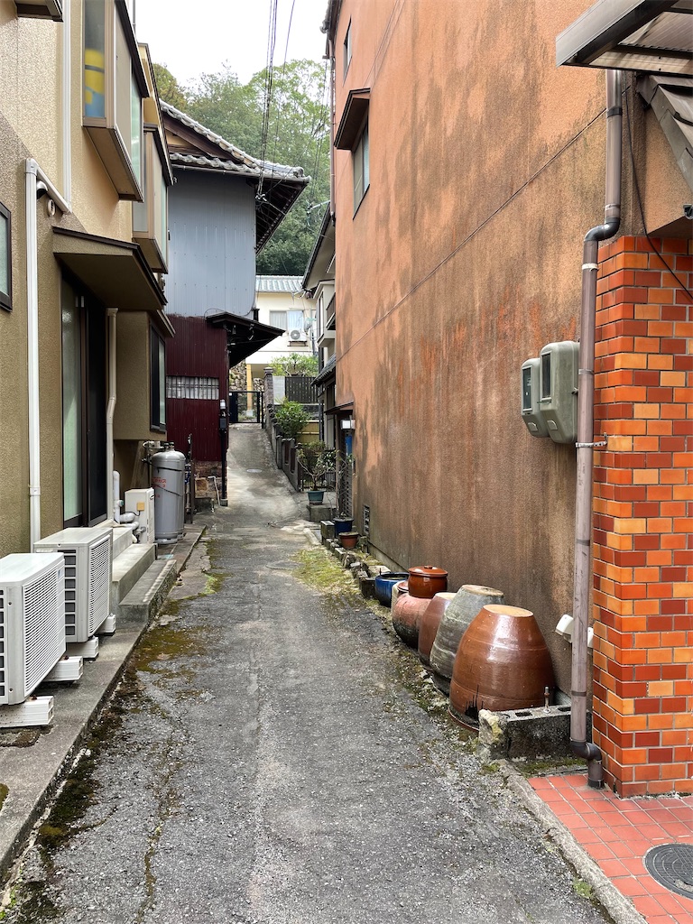 f:id:kamemochi:20231111150552j:image f:id:kamemochi:20231111150552j:image