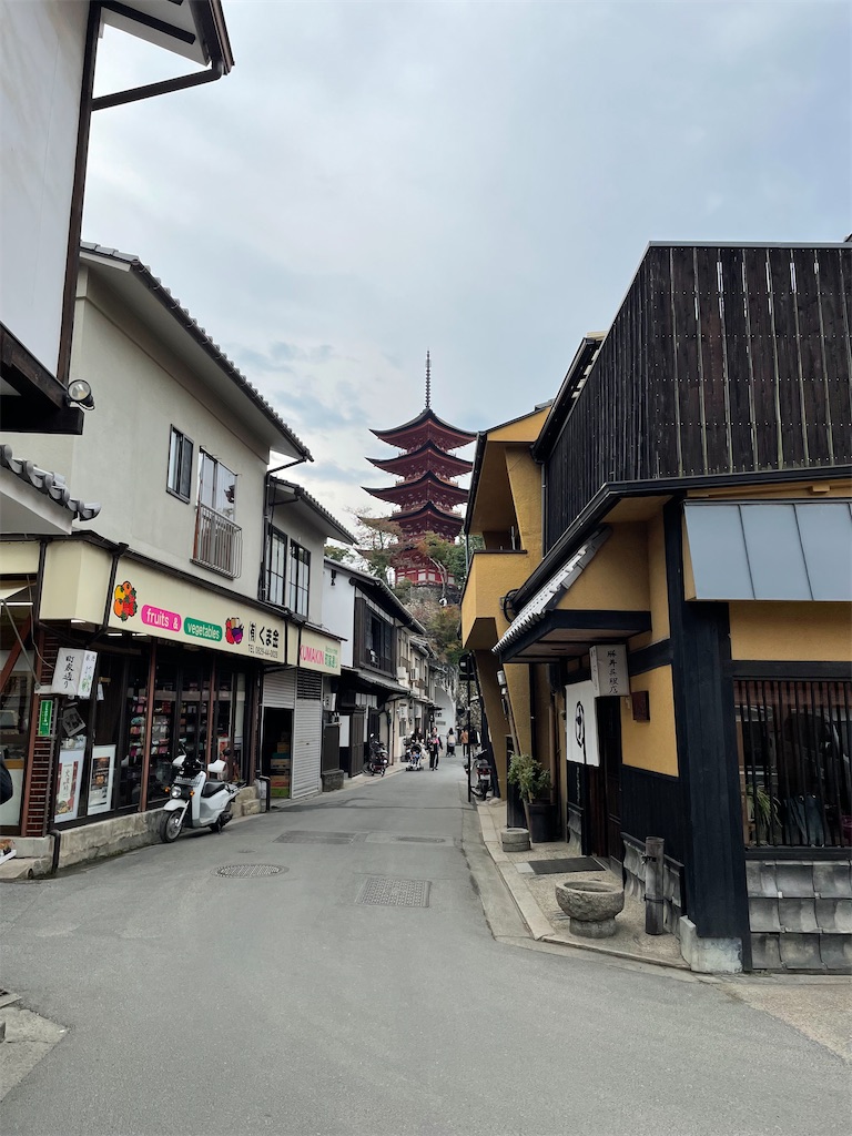 f:id:kamemochi:20231111150611j:image f:id:kamemochi:20231111150611j:image