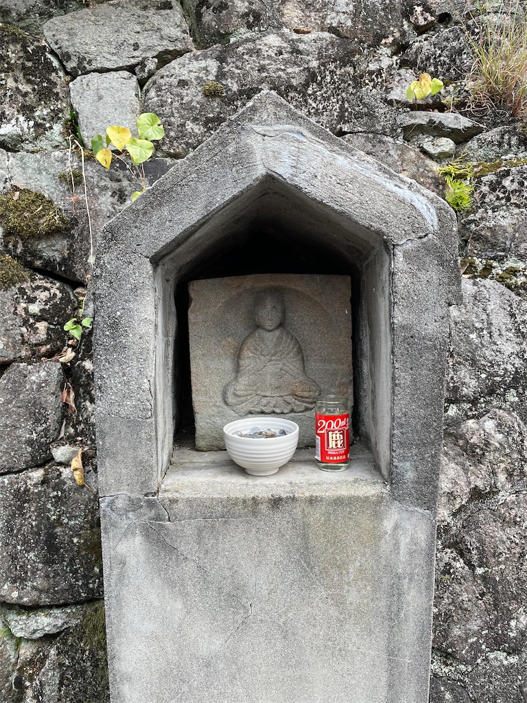 f:id:kamemochi:20231111150618j:image f:id:kamemochi:20231111150618j:image