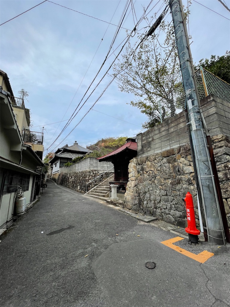 f:id:kamemochi:20231111150637j:image f:id:kamemochi:20231111150637j:image