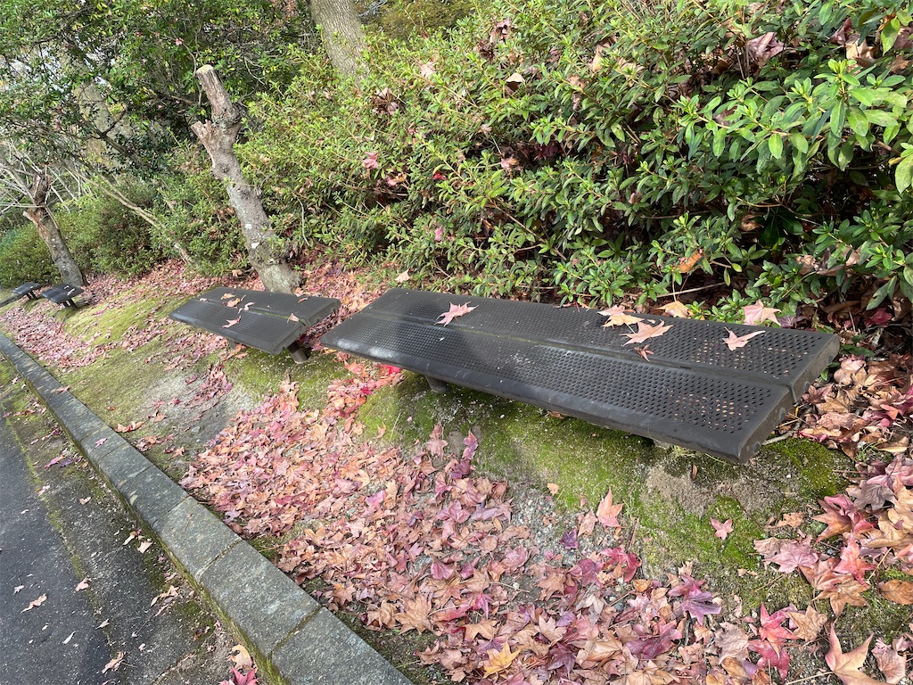 f:id:kamemochi:20231120223452j:image