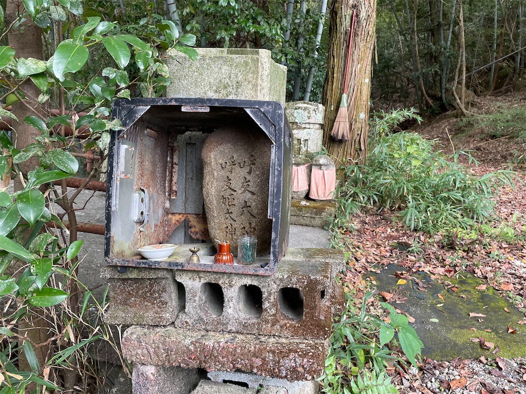 f:id:kamemochi:20231120224958j:image