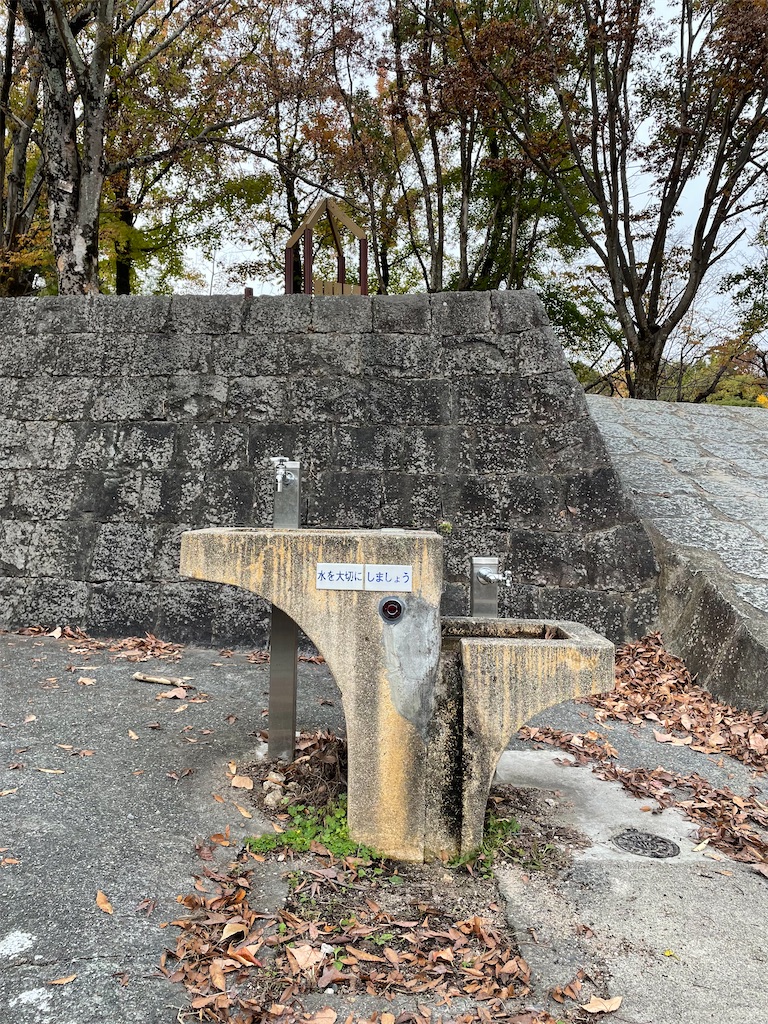f:id:kamemochi:20231120225019j:image