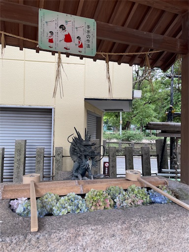 f:id:kamemochi:20240723200926j:image