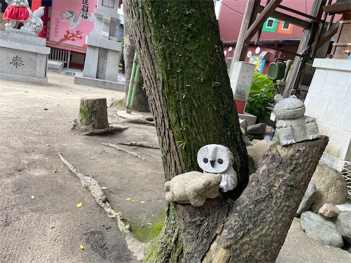 f:id:kamemochi:20240723200929j:image