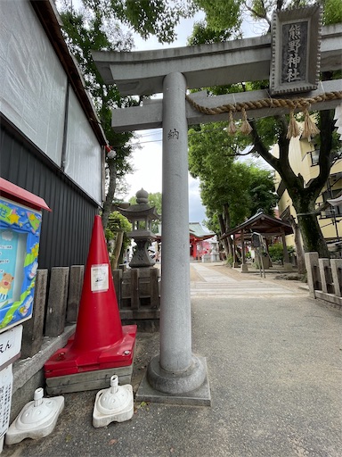 f:id:kamemochi:20240723200931j:image