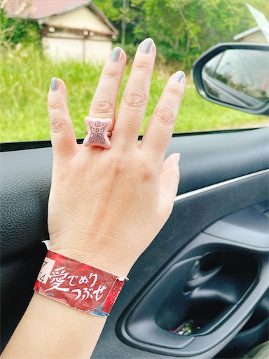 f:id:kamemochi:20241012093843j:image