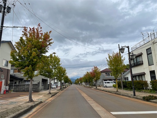 f:id:kamemochi:20241012093904j:image