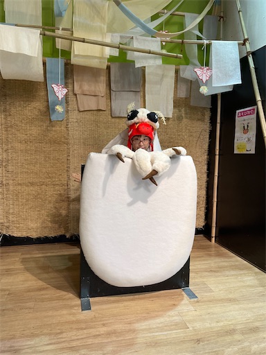 f:id:kamemochi:20241012093920j:image