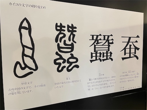 f:id:kamemochi:20241012093923j:image