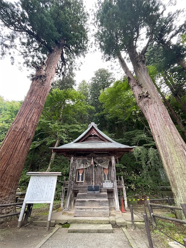 f:id:kamemochi:20241012093956j:image