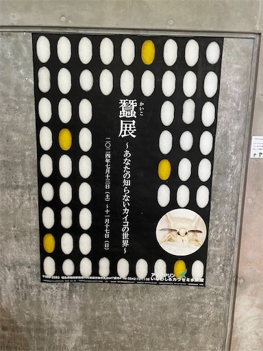 f:id:kamemochi:20241012094002j:image