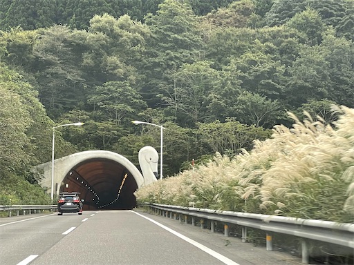 f:id:kamemochi:20241012094008j:image