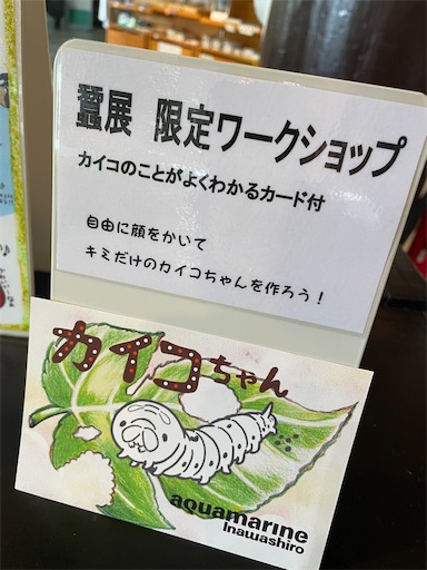 f:id:kamemochi:20241012094021j:image