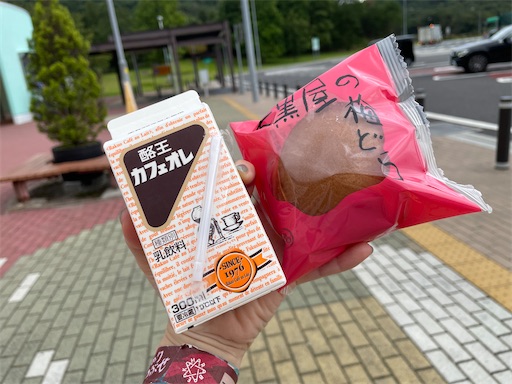 f:id:kamemochi:20241012094031j:image