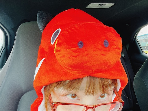 f:id:kamemochi:20241012094038j:image