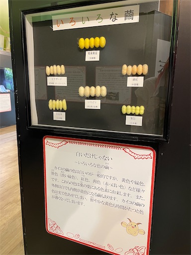 f:id:kamemochi:20241012094053j:image