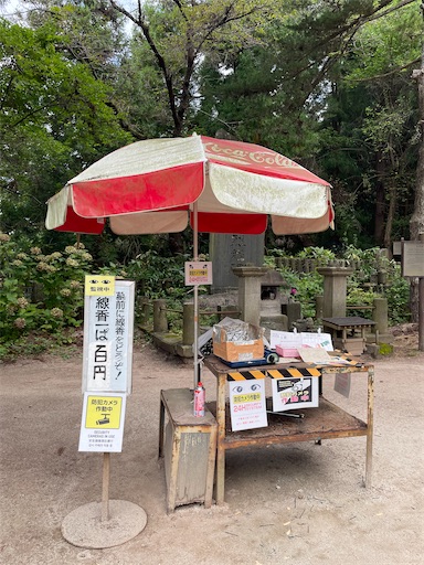f:id:kamemochi:20241012094308j:image