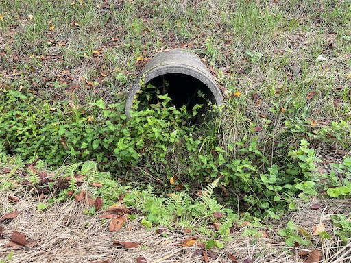 f:id:kamemochi:20241012204931j:image