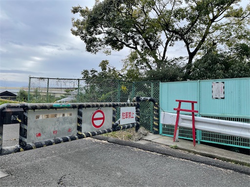 f:id:kamemochi:20241031165026j:image