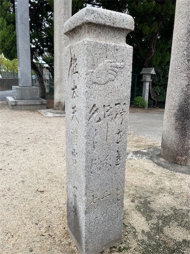 f:id:kamemochi:20241107215219j:image