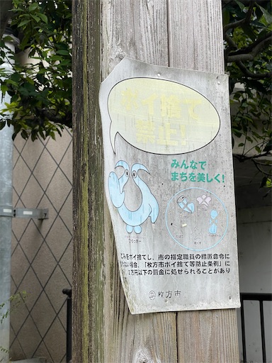 f:id:kamemochi:20241107234155j:image f:id:kamemochi:20241107234155j:image